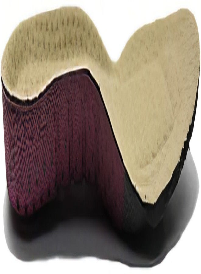 ARIAT Women's ATS Round Toe Insole Footbeds, Multicolored, 8.5 - Image 5